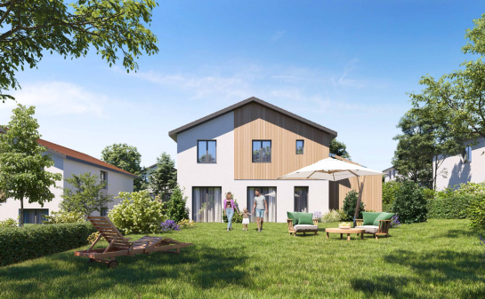 program-1317-image 1_2