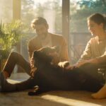 At,Home:,Happy,Couple,Play,With,Their,Dog,,Gorgeous,Brown