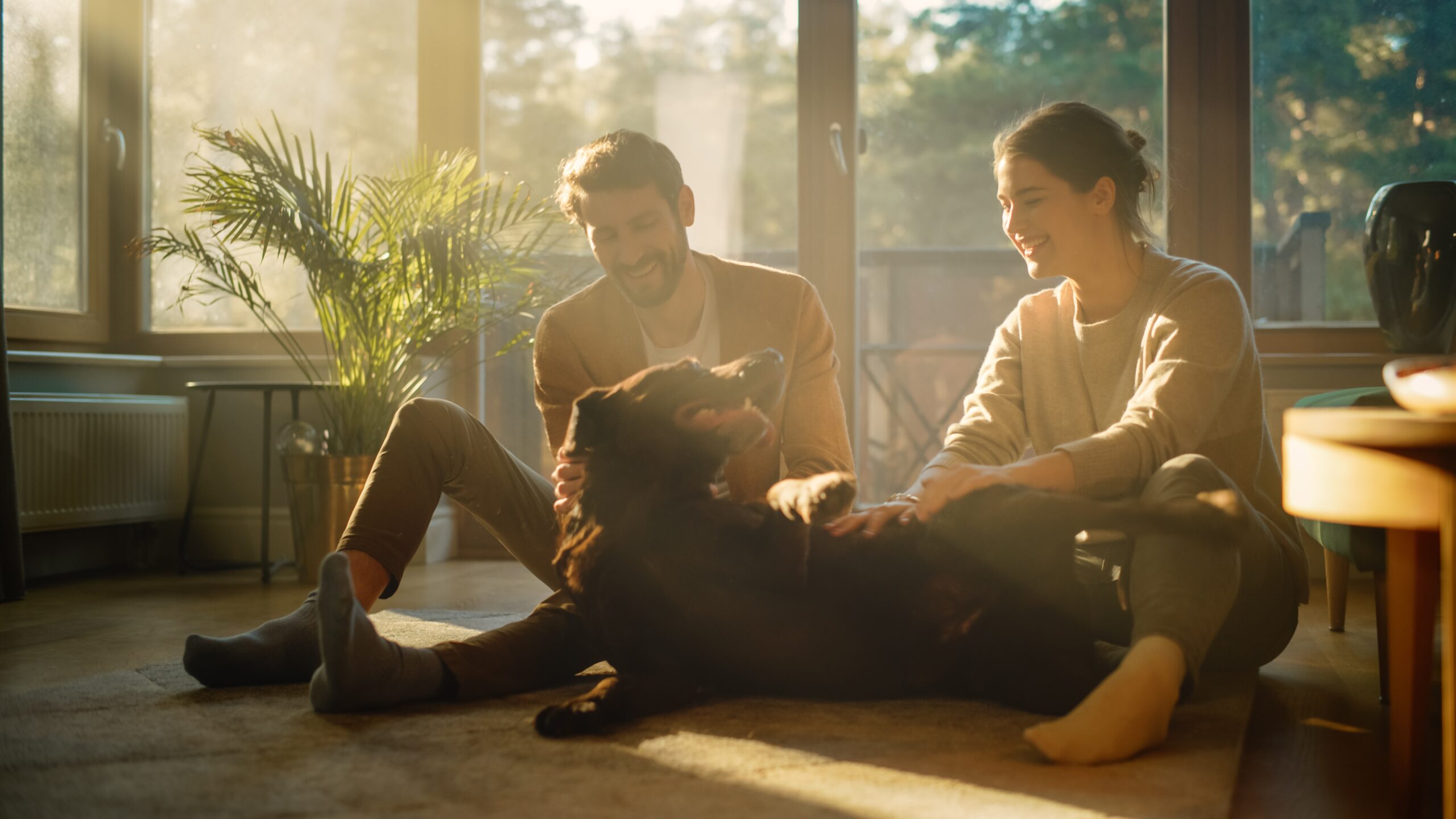 At,Home:,Happy,Couple,Play,With,Their,Dog,,Gorgeous,Brown